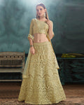 Olive Green Color Wedding Wear NET Lehenga & Blouse with Dupatta
